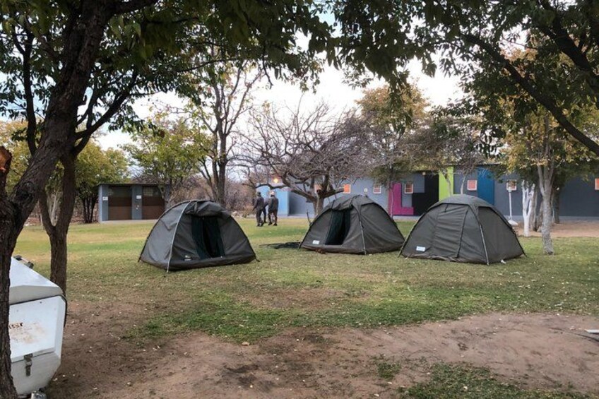 Three tents set up in a grassy area with trees and colorful buildings in the background. 5