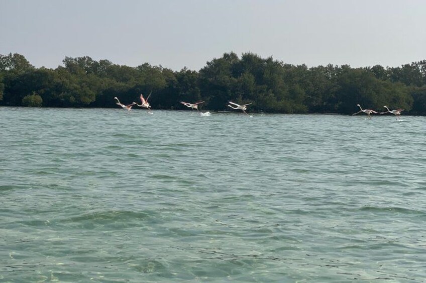 A body of water with several birds flying over it. 3