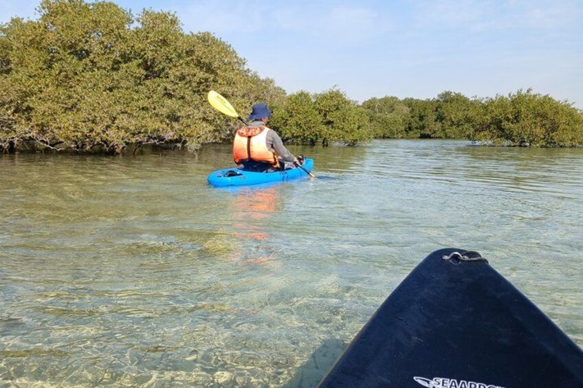 A person kayaking on a river surrounded by mangrove trees. 1