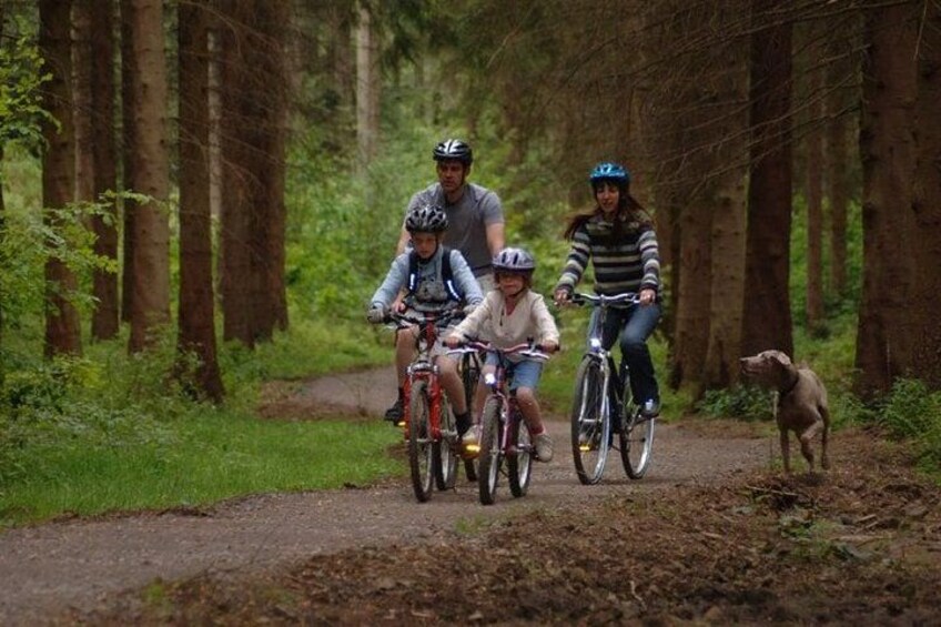 A family riding bicycles on a forest trail with a dog. 5