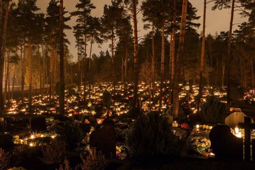 A forest with numerous lights, possibly for a memorial or event. 1