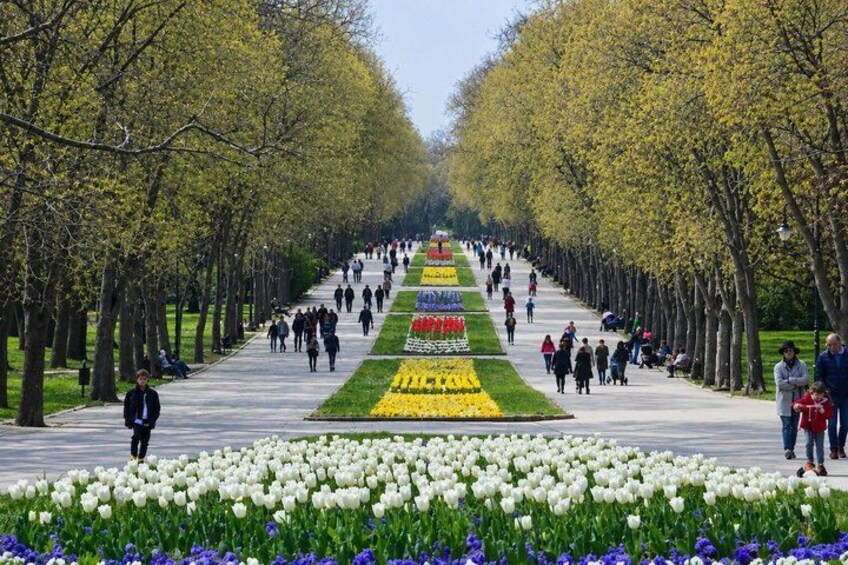 A tree-lined avenue with a flower bed and people walking. 4