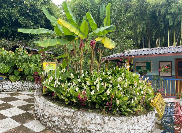 A garden with banana trees, a checkered pavement, and a small building with a tiled roof. 2