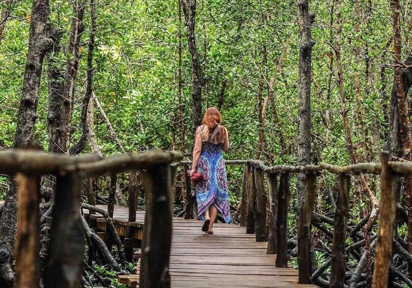 A woman walking on a wooden bridge surrounded by dense green foliage. 2