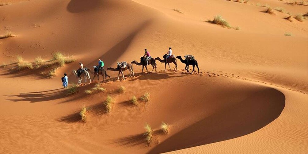 Un grupo de personas montando camellos a través de un paisaje de dunas arenosas. 1