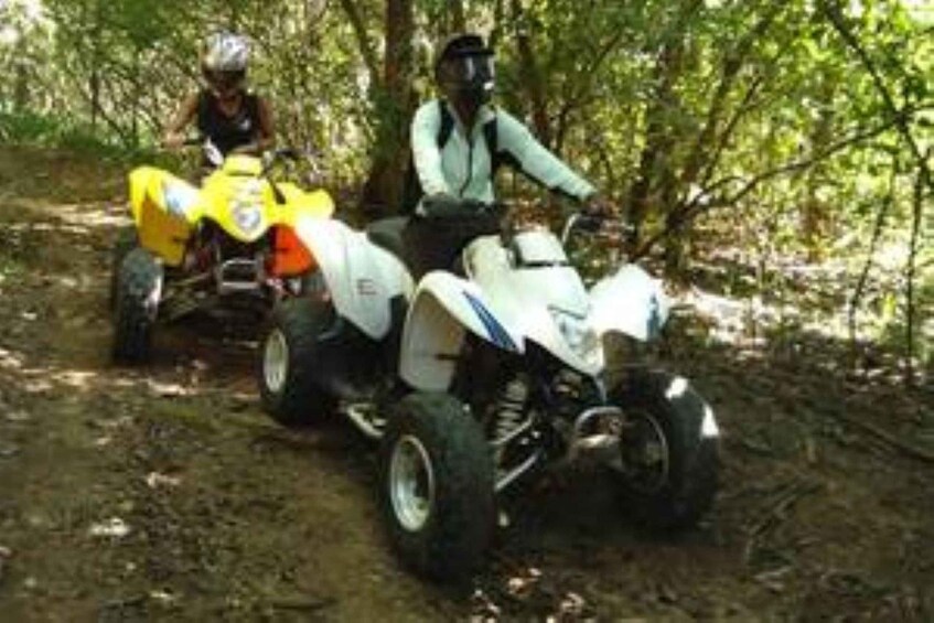 Picture 2 for Activity Hazyview: Guided Macadamia Plantation and Forest Quad Safari 2