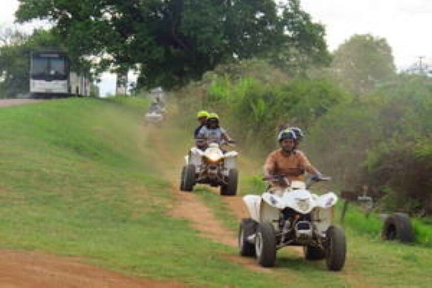Hazyview: Guided Macadamia Plantation and Forest Quad Safari 1