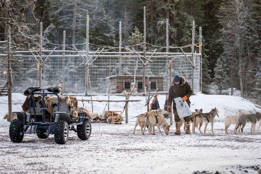 A person leading husky dogs on a snowy trail with a sled. 5