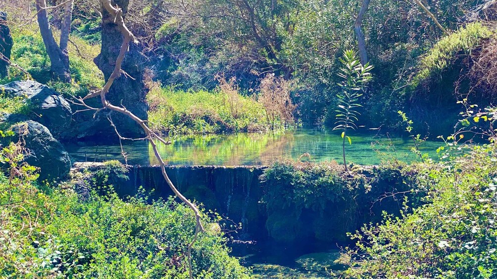 Picture 15 for Activity Crete: Richtis Gorge & Waterfall Guided Hiking Tour 3