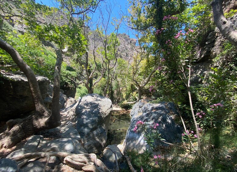 Picture 31 for Activity Crete: Richtis Gorge & Waterfall Guided Hiking Tour 4