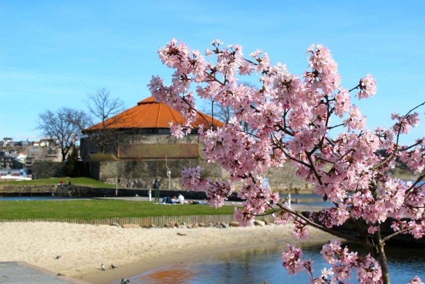 Picture 4 for Activity Kristiansand E-Scooter Tour - City Highlights 5
