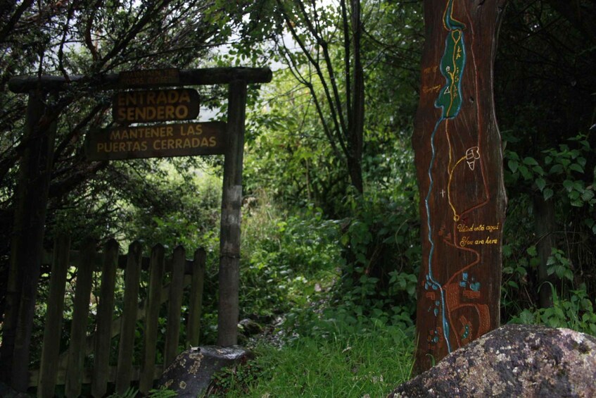 A wooden sign with a map and text in a forested area. 1