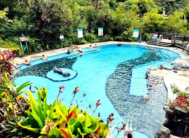 A swimming pool with clear water, surrounded by lush greenery and rocks. 2