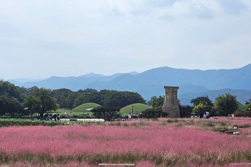 A field of pink flowers, a stone tower, and rolling hills in the background. 5