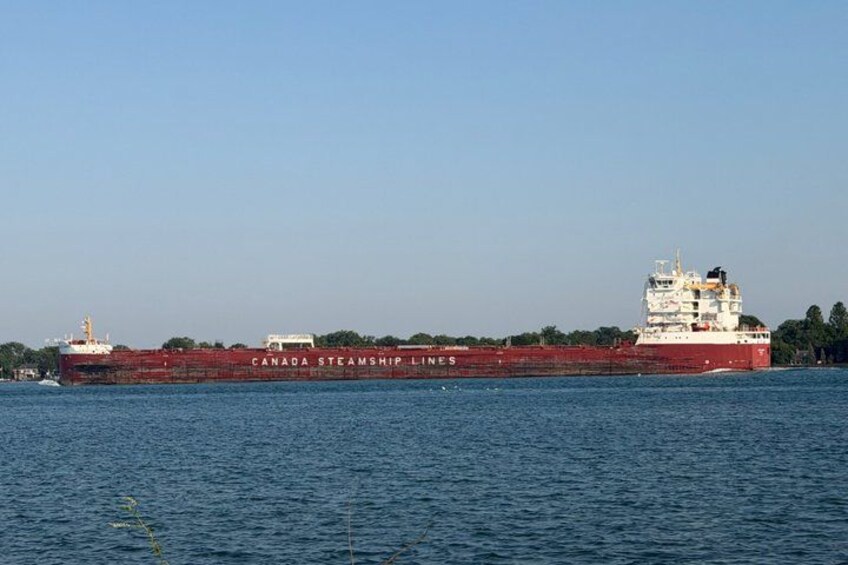 A large red cargo ship named 'Canada Steamship Lines' on the water. 1