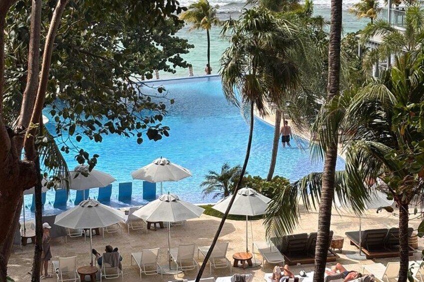 A pool with lounge chairs and umbrellas, surrounded by palm trees. 2