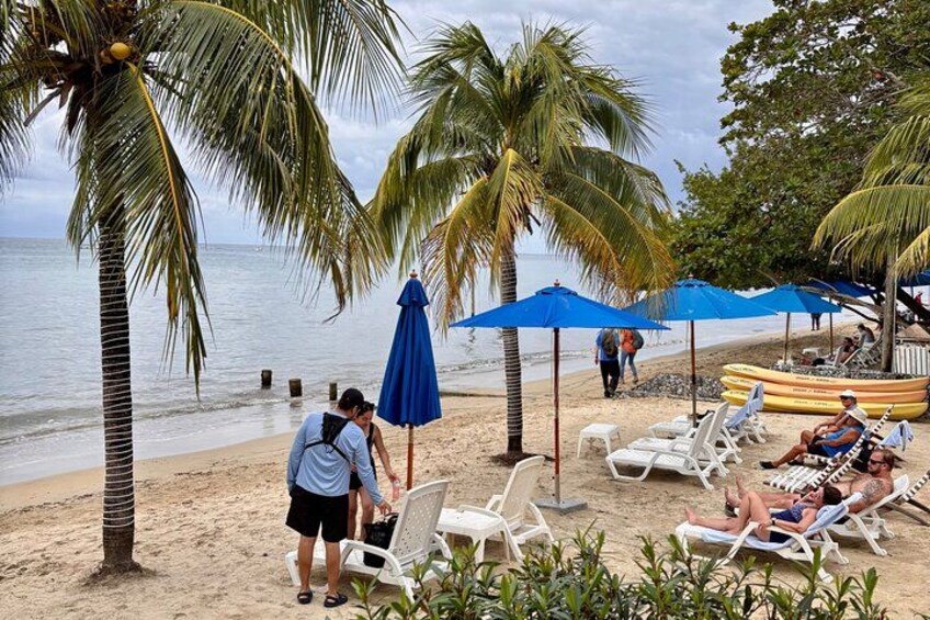A beach with palm trees, lounge chairs, and umbrellas. 3