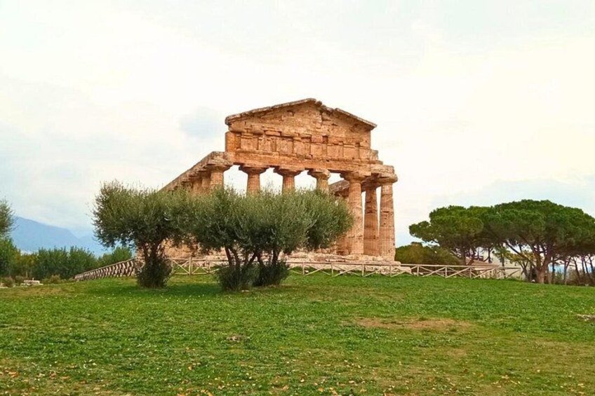 An ancient Greek temple with columns, surrounded by grass and trees. 3