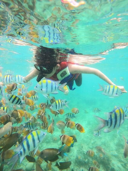 Picture 5 for Activity Lombok: Sasak Culture To Gili Nanggu Island Adventure 4