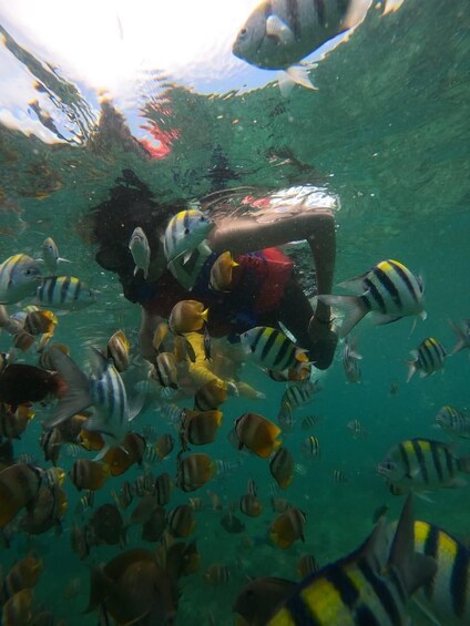 Picture 6 for Activity Lombok: Sasak Culture To Gili Nanggu Island Adventure 5