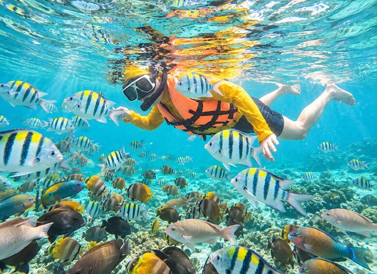 Picture 1 for Activity Lombok: Sasak Culture To Gili Nanggu Island Adventure 3