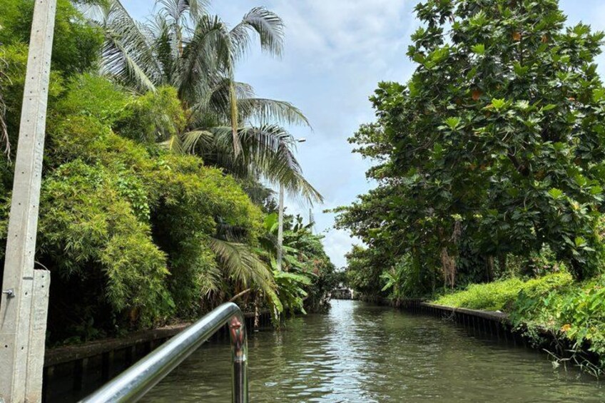 A narrow waterway flanked by dense tropical vegetation and a metal railing. 1