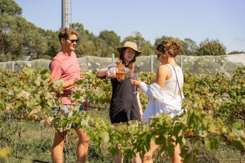 Three people in a vineyard, one holding a bottle of wine. 2