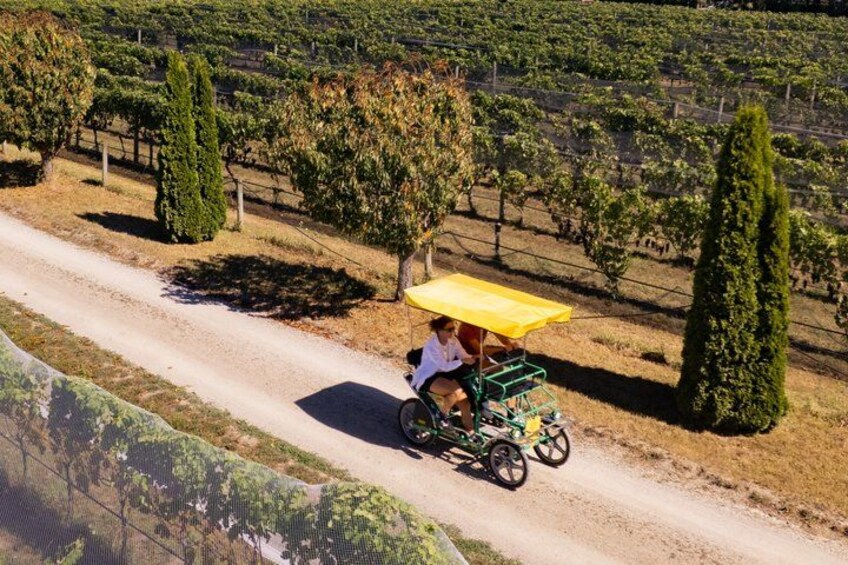 A person riding a bicycle with a yellow canopy on a dirt path through a vineyard. 3