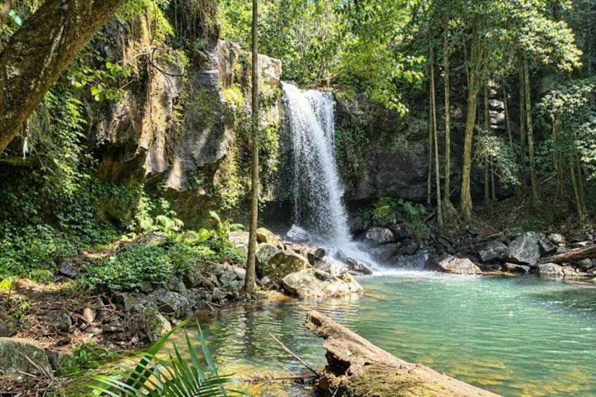 A waterfall in a forested area with a clear pool at its base. 5