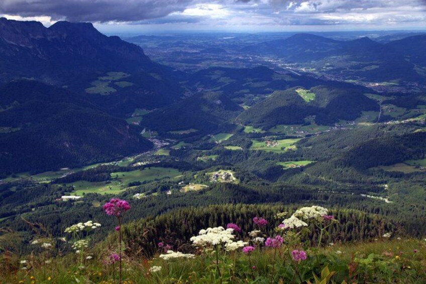 A mountainous landscape with a valley, dense forests, and wildflowers. 4