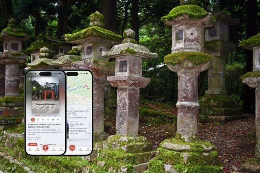 A traditional Japanese torii gate with moss-covered stone pillars in a forested area. 1