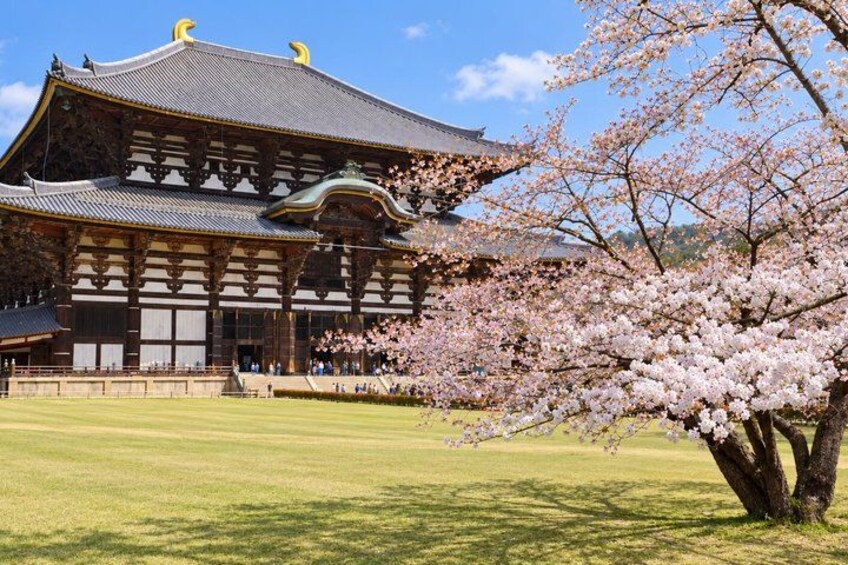 A traditional Japanese building with cherry blossoms in the foreground. 2