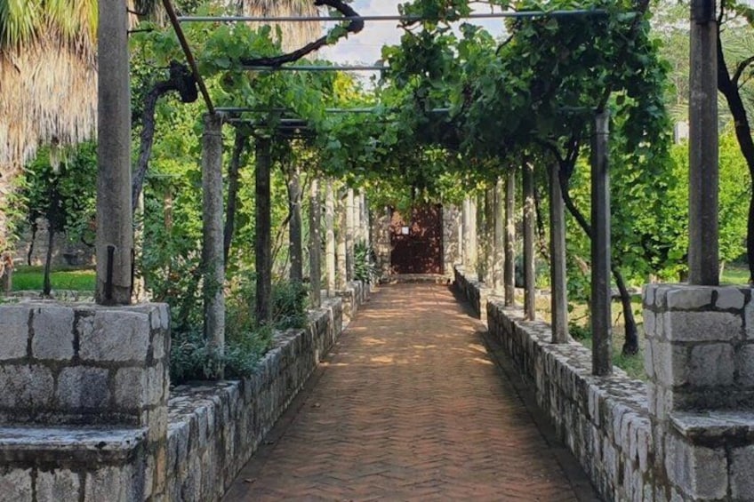 A paved pathway flanked by stone walls and grapevines. 3
