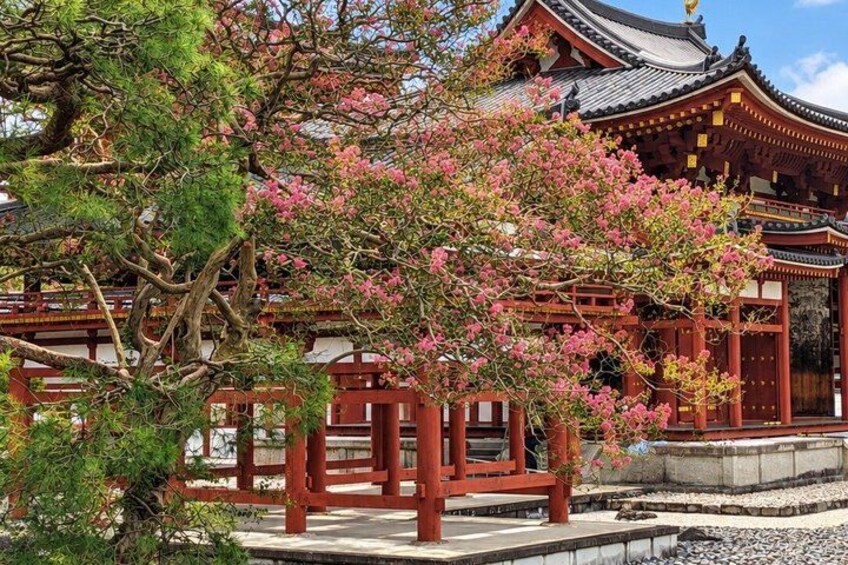 A traditional Japanese temple with cherry blossoms. 5