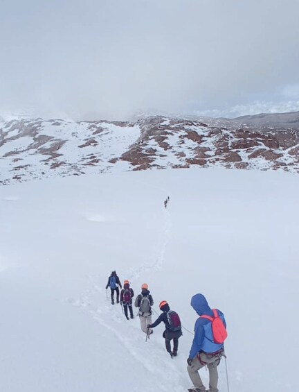 Un grupo de excursionistas sube por un sendero montañoso cubierto de nieve. 1