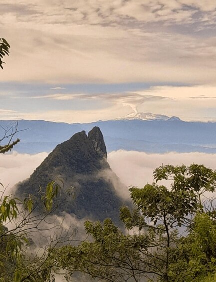 Un pico montañoso rodeado de nubes, con un primer plano arbolado y una cadena montañosa distante. 3