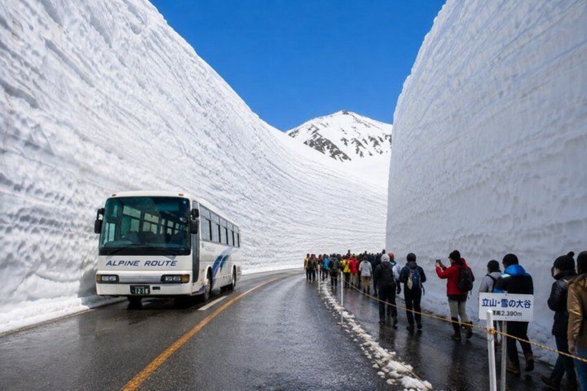 A bus labeled 'ALPINE ROUTE' on a snow-covered road with a crowd of people standing on the right side. 1