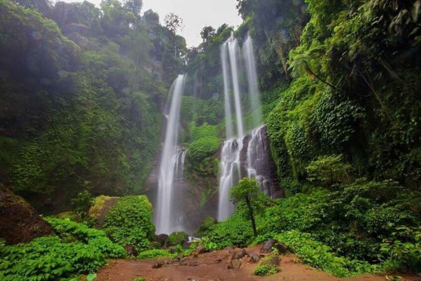 Picture 8 for Activity Bali: Dolphin Watching Boat Tour and Sekumpul Waterfall 4