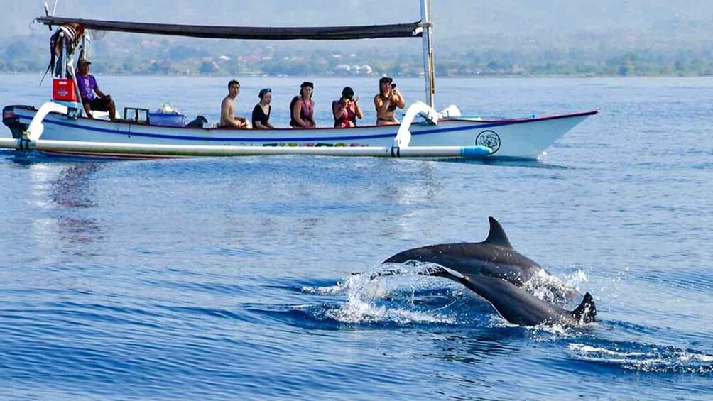 Bali: Dolphin Watching Boat Tour and Sekumpul Waterfall 1