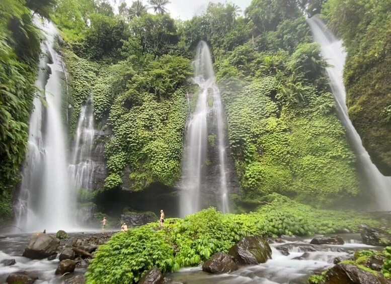 Picture 9 for Activity Bali: Dolphin Watching Boat Tour and Sekumpul Waterfall 2