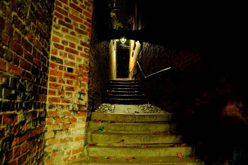 A dimly lit brick staircase leading upwards, with a metal railing and scattered leaves on the steps. 3