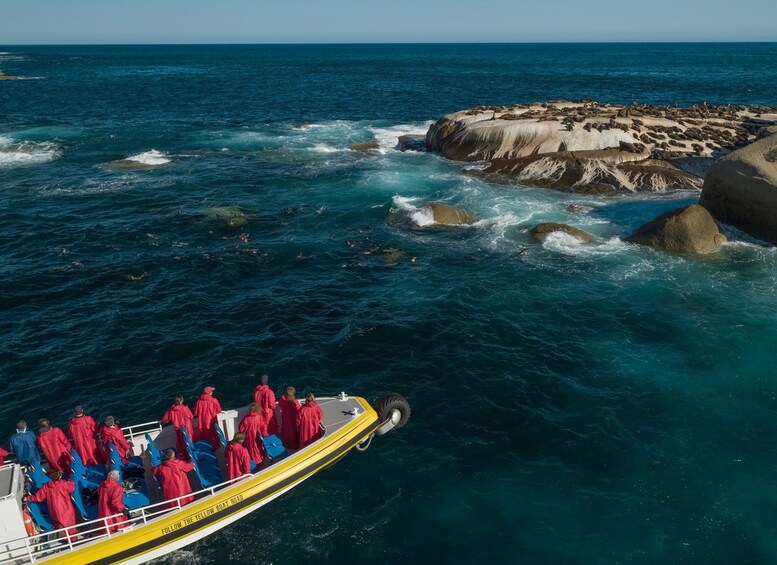 A boat with people in red raincoats navigating near rocky coastlines. 2
