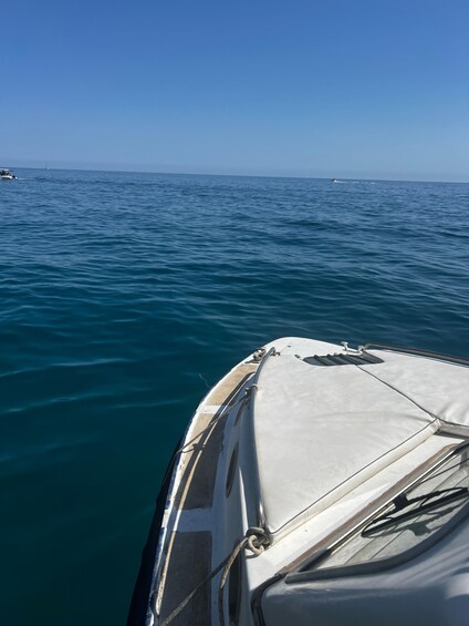 Picture 3 for Activity Palermo Boat Experience 5