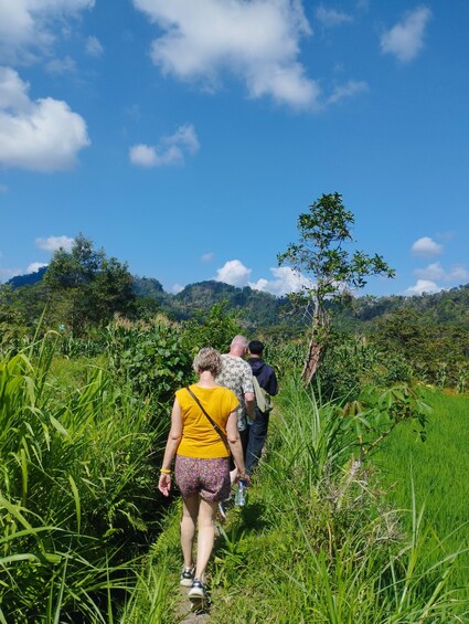Picture 7 for Activity Sidemen: scooter tour and Rice Field Hike 2