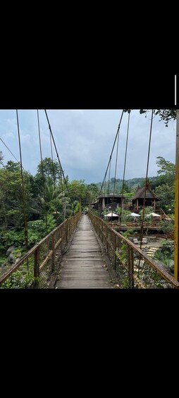 A wooden suspension bridge surrounded by lush greenery. 2