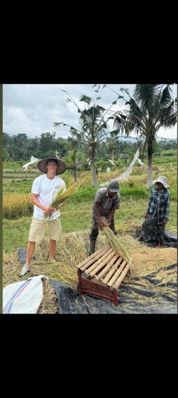 Picture 6 for Activity Sidemen: scooter tour and Rice Field Hike 4