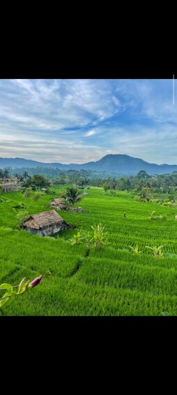 A lush green landscape with terraced fields, a few traditional huts, and distant mountains under a partly cloudy sky. 3