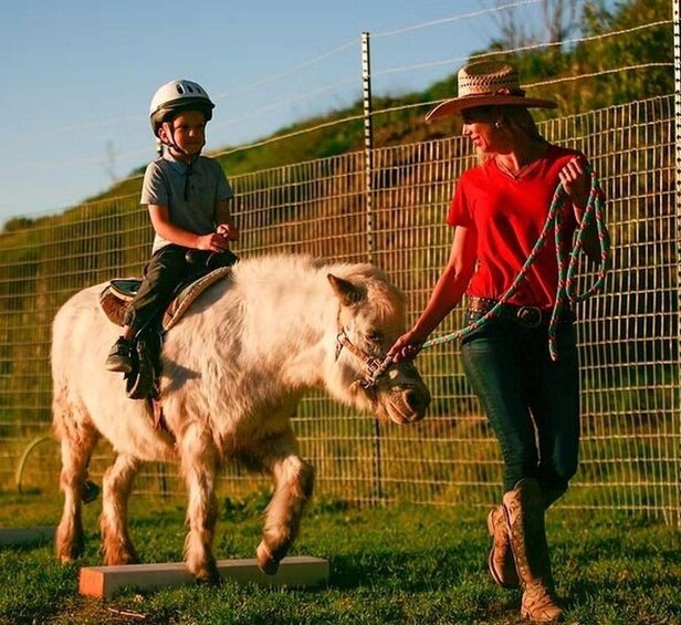 En person rider en hvid hest, en anden går ved siden af, og der er et hegn i baggrunden. 2