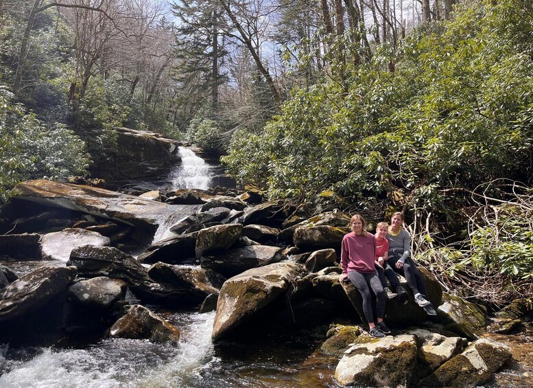 Picture 3 for Activity Great Smoky Mountains: Half day Forest Bathing Experience 5