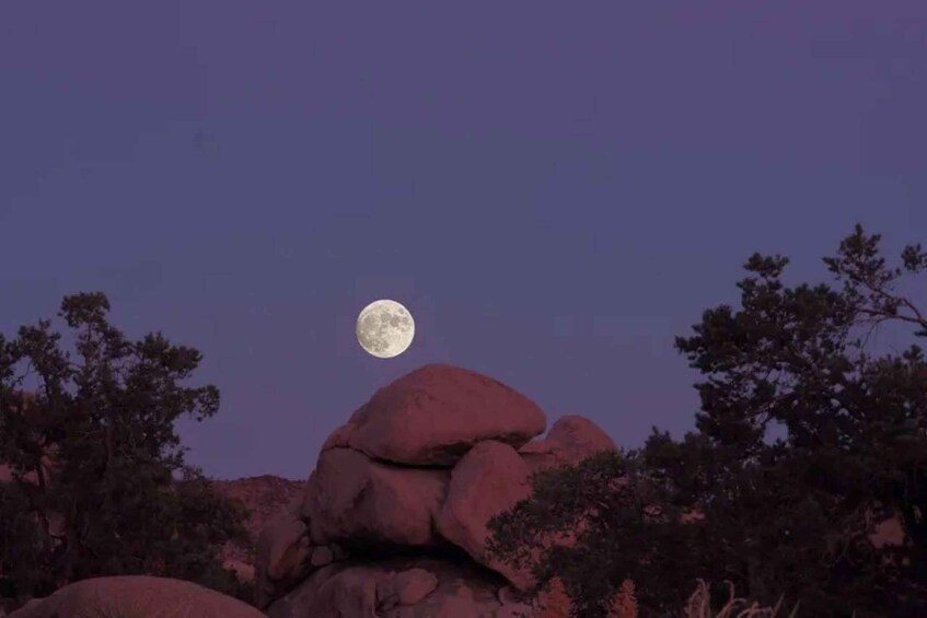 Luna llena sobre terreno rocoso con pocos árboles. 3